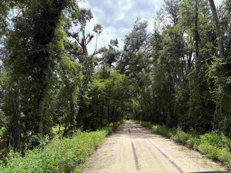 00 Sw 65th Ln., Jasper, FL 32052 - #3