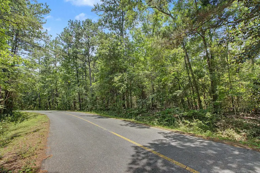 Beaver Creek Drive, Havana, FL 32333 - #3