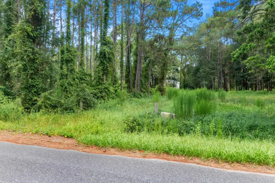 211 Franklin Street, Carrabelle, FL 32322 - #3