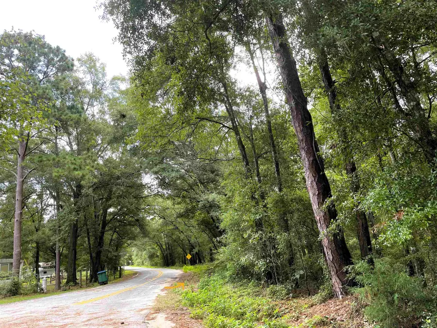 497 Mcphaul Road, Chattahoochee, FL 32324 - #2