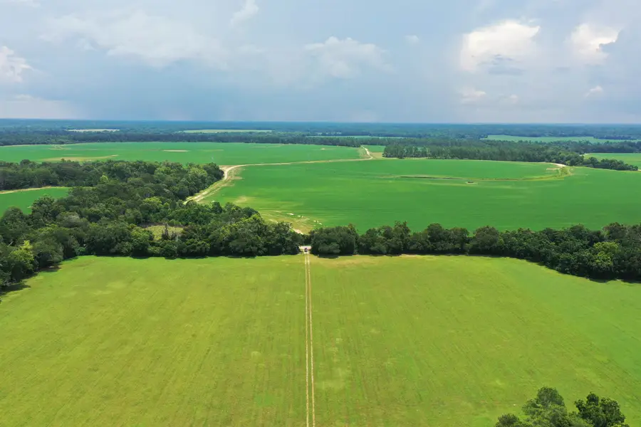 xx Max Herrin Road, Quincy, FL 32351 - #2