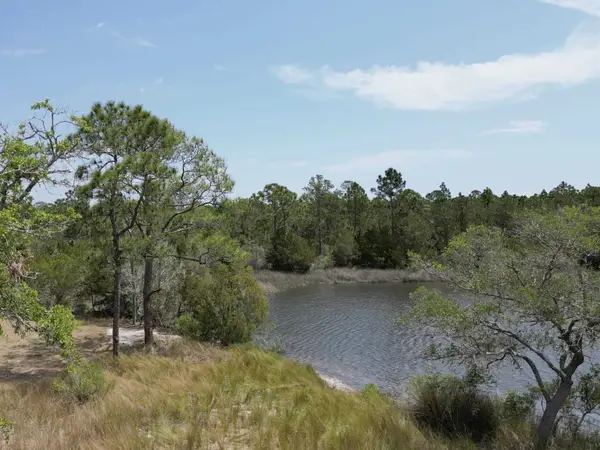337 Levy Bay, Panacea, FL 32346