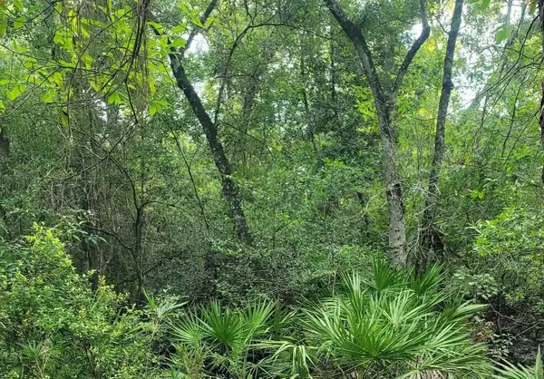 0 Sioux Trail #1, Crawfordville, FL 32327