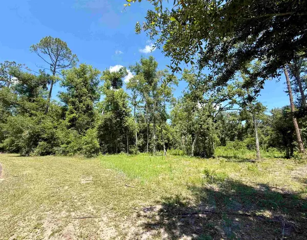 Vacant Wildwood Circle, Live Oak, FL 32064