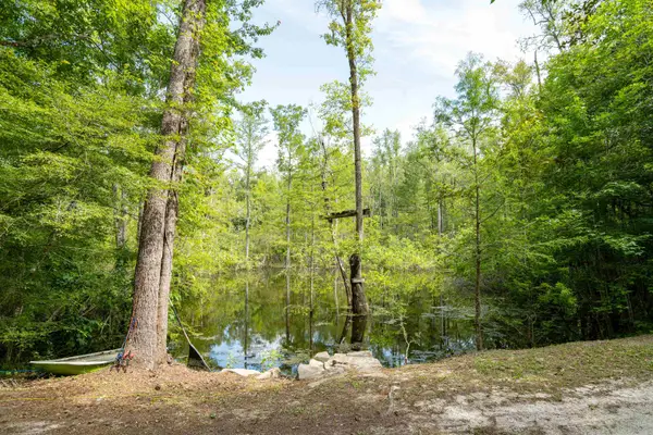 76 Harley-davidson Lane, Crawfordville, FL 32327