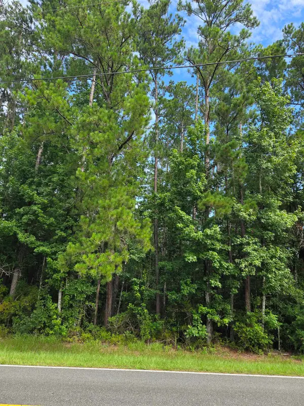 XXX NW Cr 333, Bristol, FL 32321