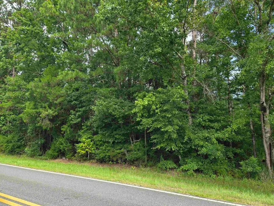 XXX NW Cr 333, Bristol, FL 32321 - #2