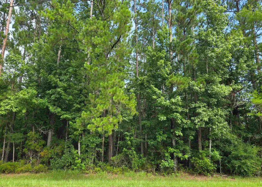 XXX NW Cr 333, Bristol, FL 32321 - #3