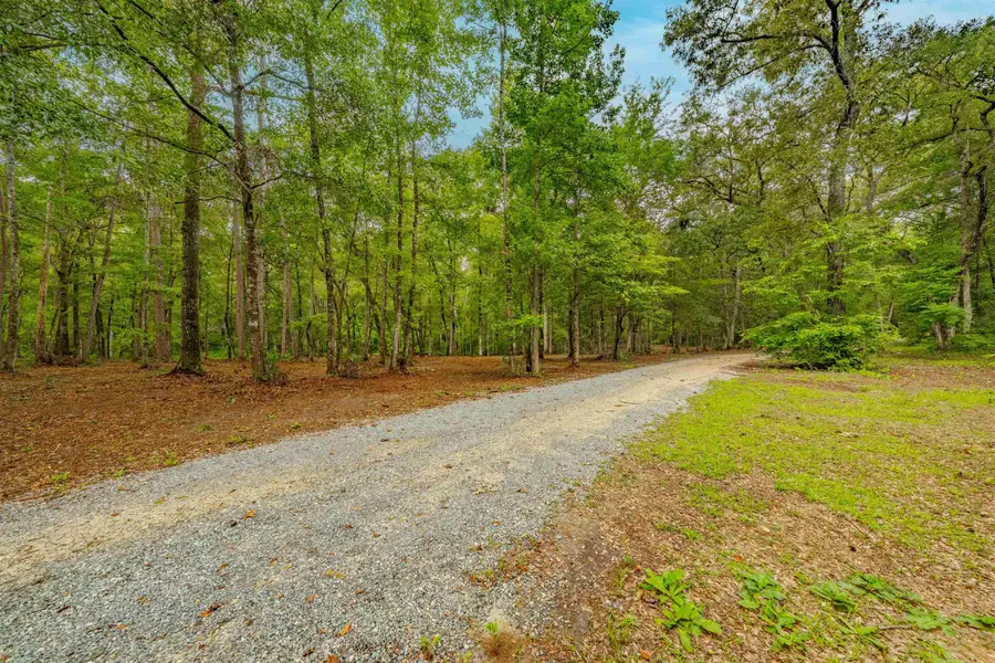 0 Pisgah Church Road, Tallahassee, FL 32309 - #3