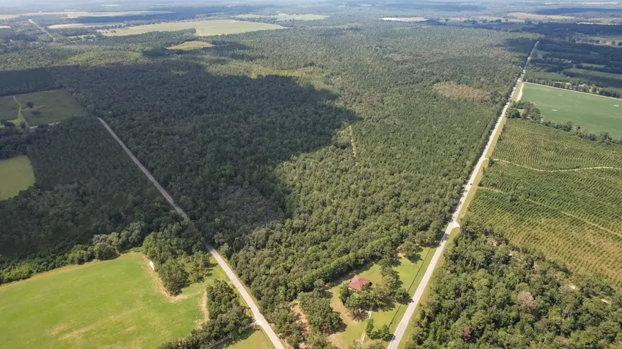 000 Timmons Road, Gretna, FL 32332 - #2