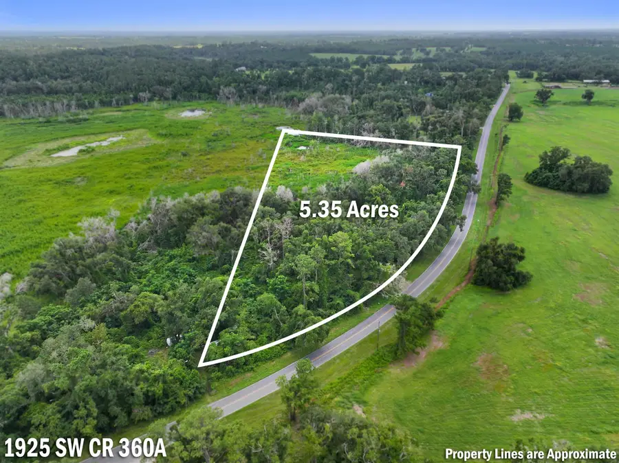 1925 SW County Road 360a, Madison, FL 32340 - #3