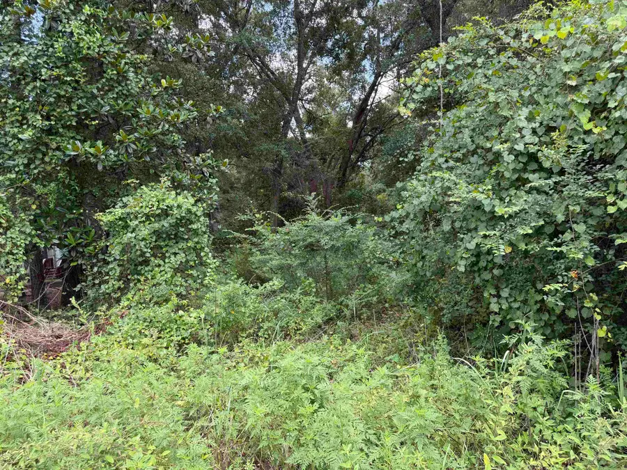 16853 Aqua Lane, Tallahassee, FL 32310 - #3