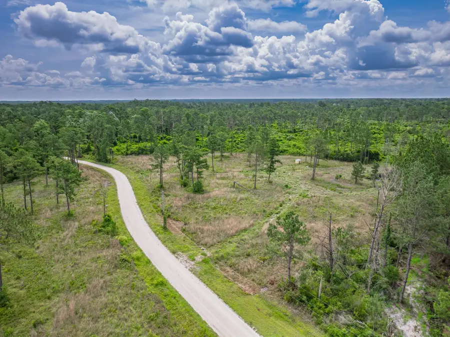 0000 Albert Henry Road, Perry, FL 32348 - #3