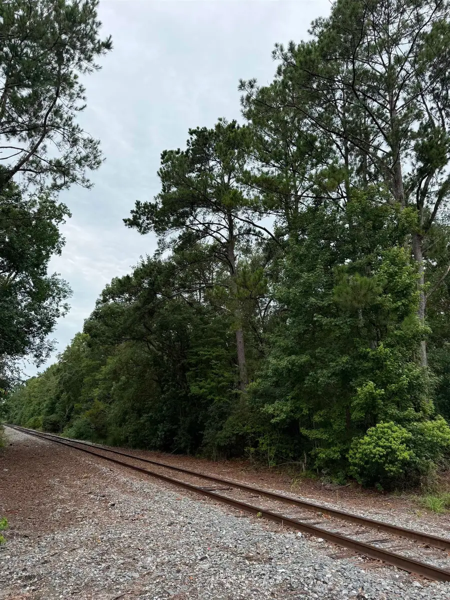 TBD SW Tram Road, Greenville, FL 32331 - #2