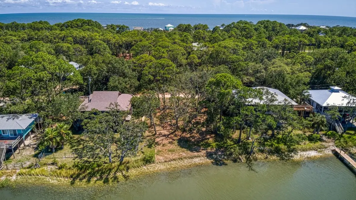 175 Harbor Circle, Alligator Point, FL 32346 - #1
