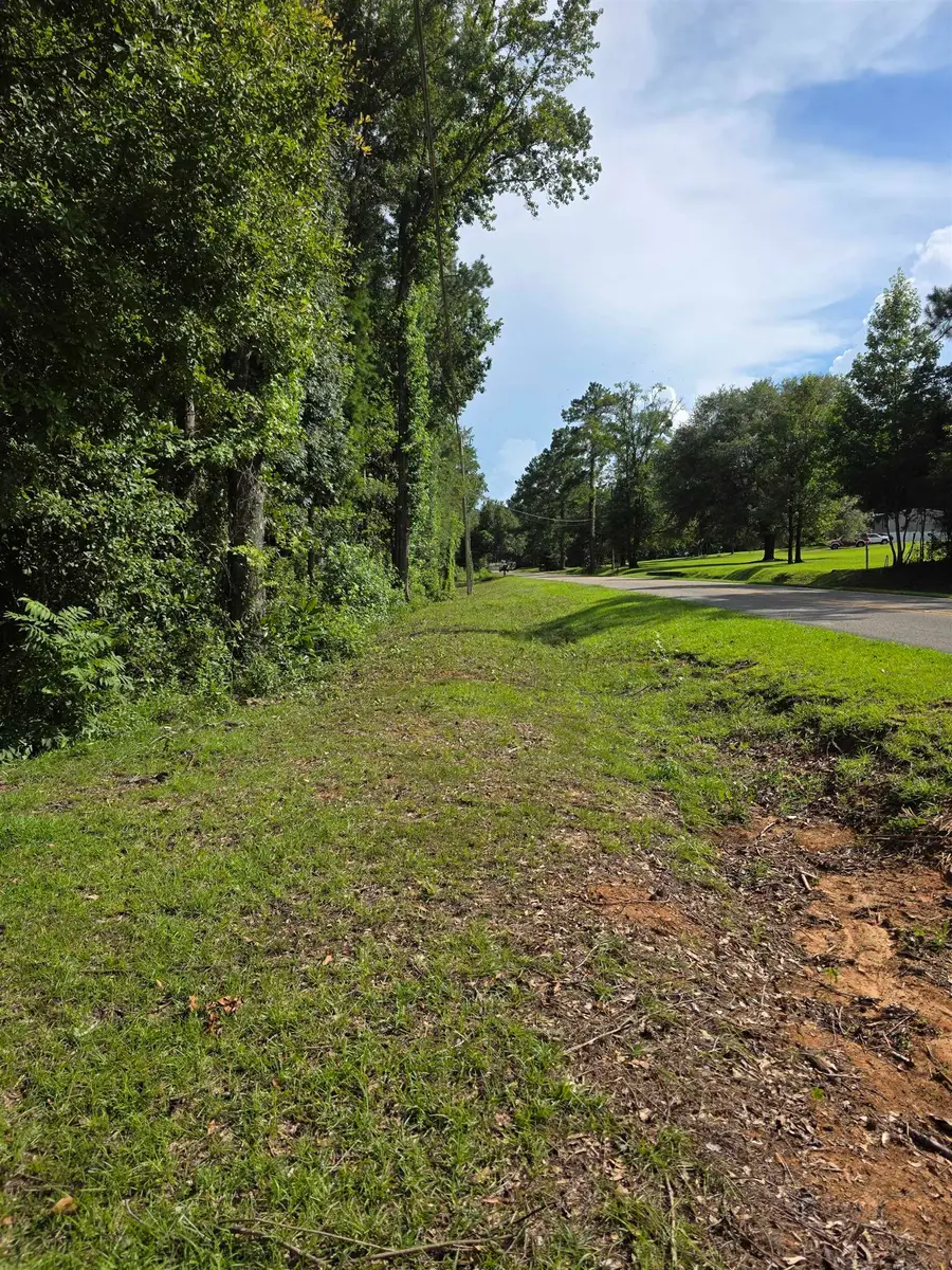 580 Spring Meadows Road, Quincy, FL 32351 - #2