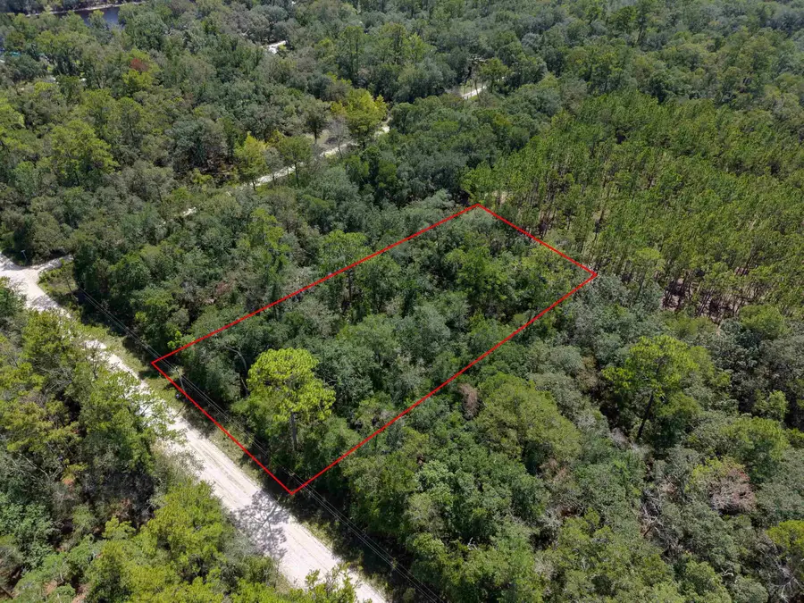 00 SE Leopard Road, Branford, FL 32008 - #3