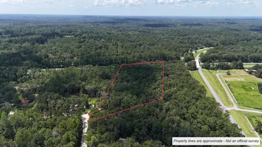 130 Sweetfield Road, Monticello, FL 32344 - #3