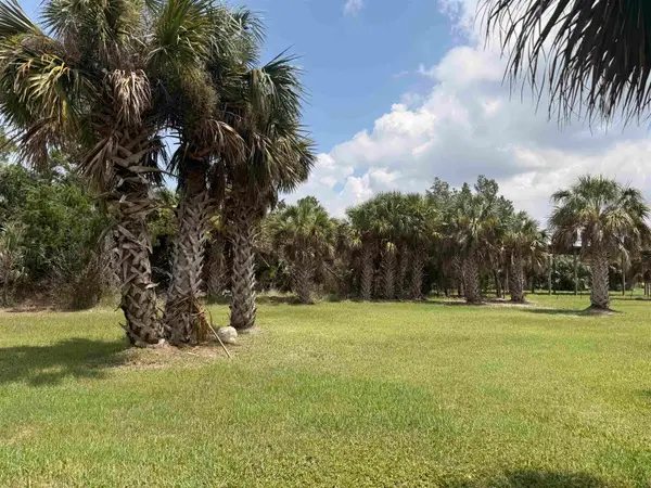 Lot 46 Egret Lane, Keaton Beach, FL 32348