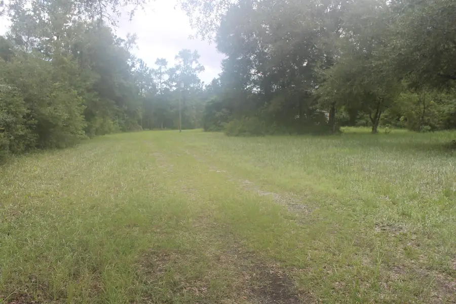 90 Mathis Road, Sopchoppy, FL 32358 - #3