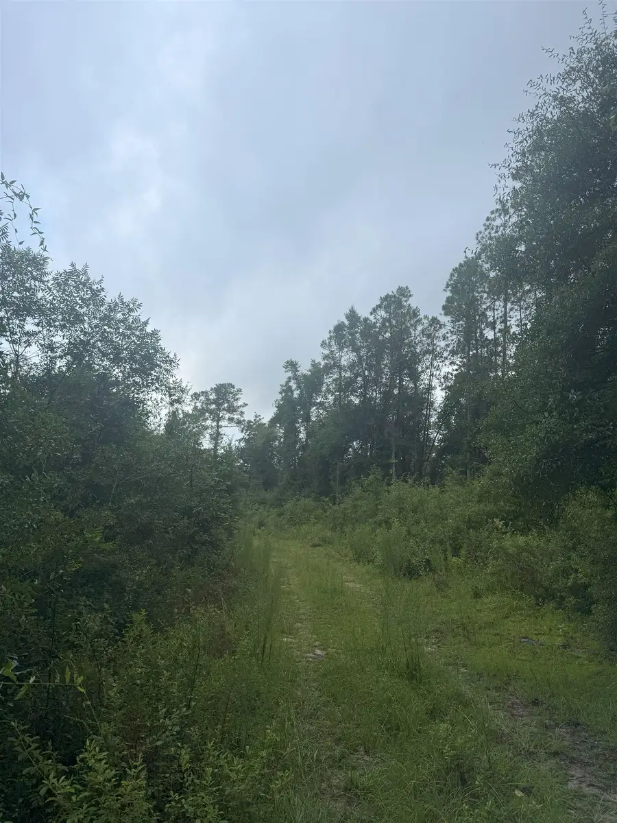 000 NE Tom Love Road, Hosford, FL 32334 - #2