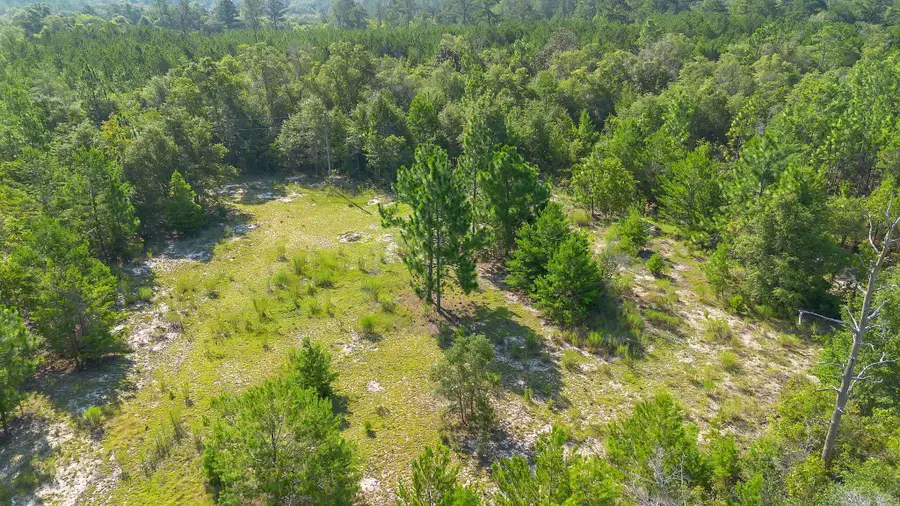 xxx Watkins Road, Quincy, FL 32351 - #3