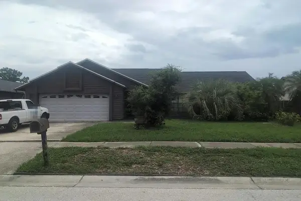 6725 Grand Bahama Drive, Tampa, FL 33615