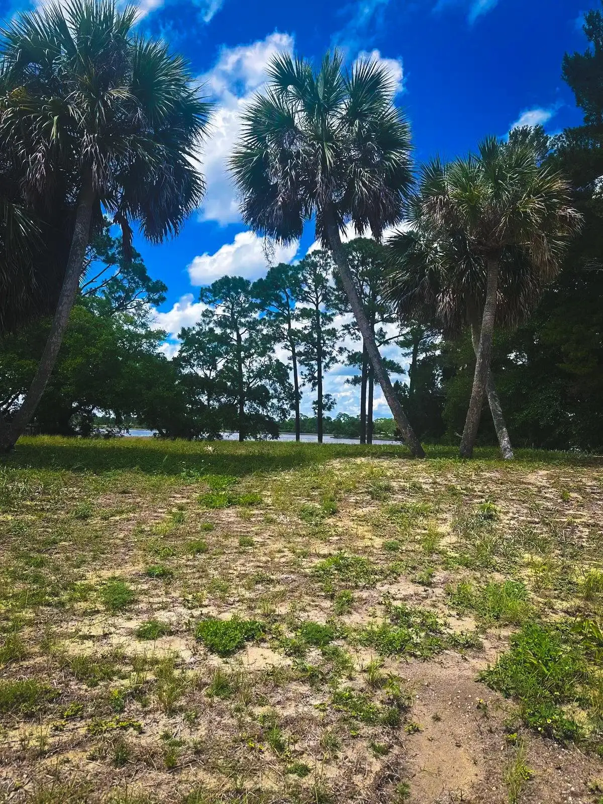 139 River Road, Carrabelle, FL 32322 - #1