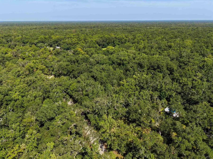 23156 Nutall Rise, Perry, FL 32347 - #3