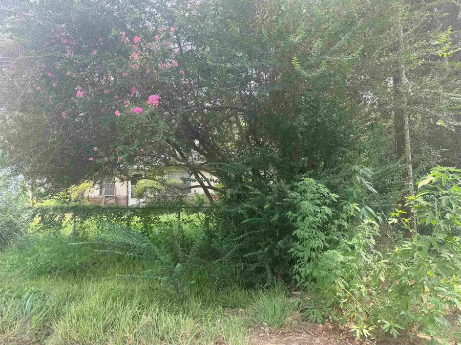 603 Eastwood Drive, Tallahassee, FL 32301 - #3