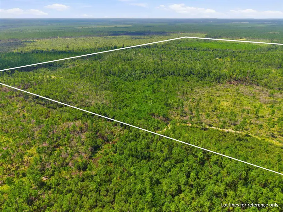 SW Scotts Ferry Road, West Calhoun, FL 32466 - #2