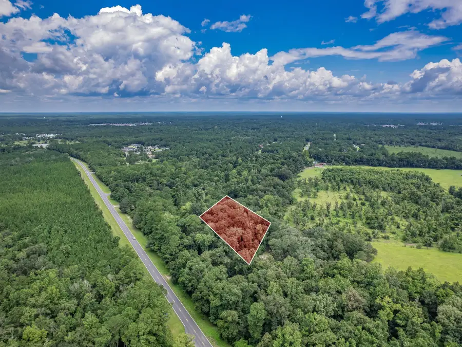 XX Old Revell Road, Crawfordville, FL 32327 - #2