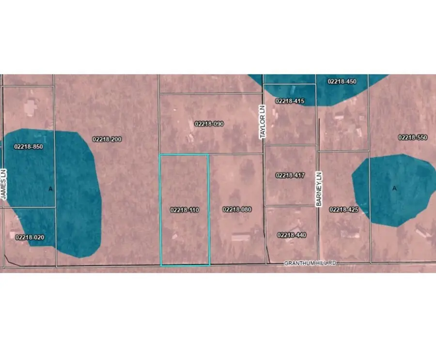 4838 Grantham Hill Road, Perry, FL 32347 - #2