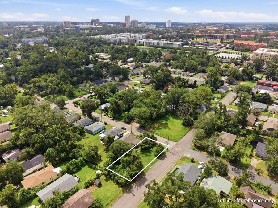 726 Dent Street, Tallahassee, FL 32304 - #3