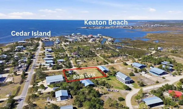 TBD Egret Lane, Perry, FL 32348