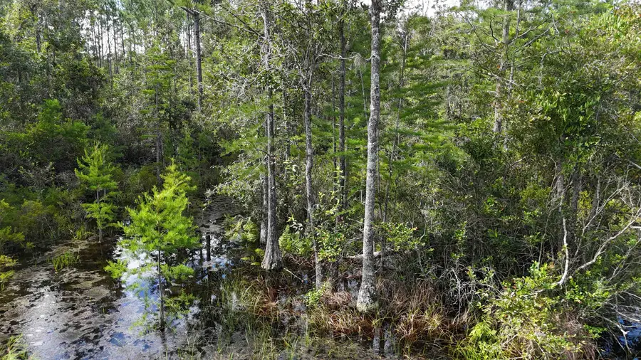 1400 SW Townsend Road, Madison, FL 32340 - #3