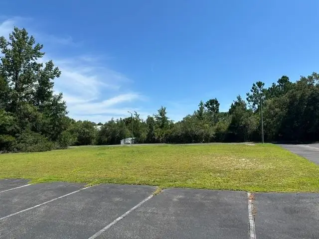 Old Palmetto Path, Saint Marks, FL 32355 - #1