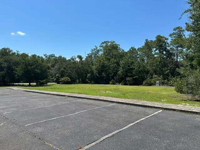 Old Palmetto Path, Saint Marks, FL 32355 - #3