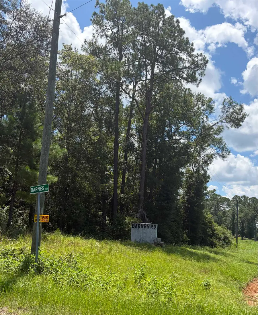 76 Barnes Road, Monticello, FL 32344 - #2