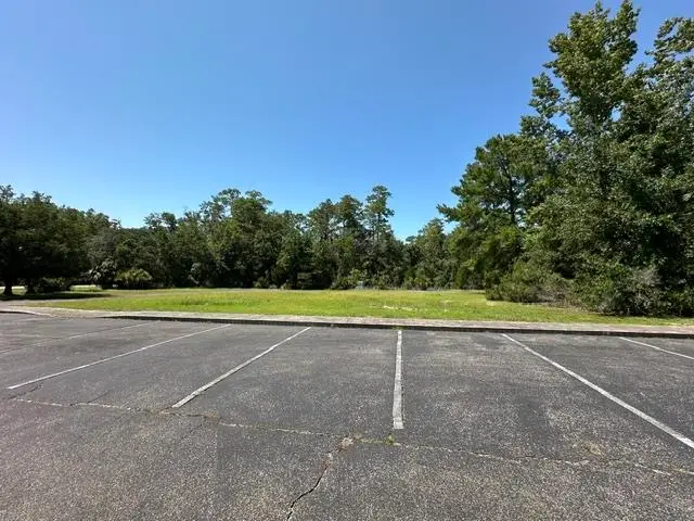 Lot X Old Palmetto Path, Saint Marks, FL 32355 - #3