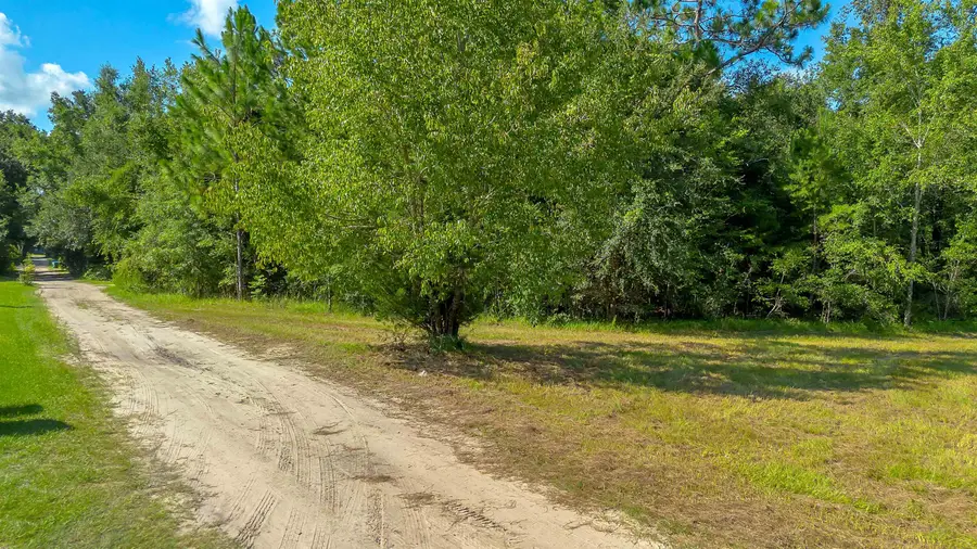 51 Ramblewood Road, Crawfordville, FL 32327 - #2