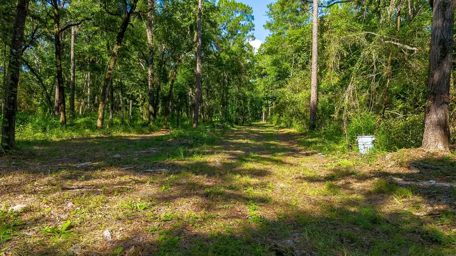 51 Ramblewood Road, Crawfordville, FL 32327 - #3