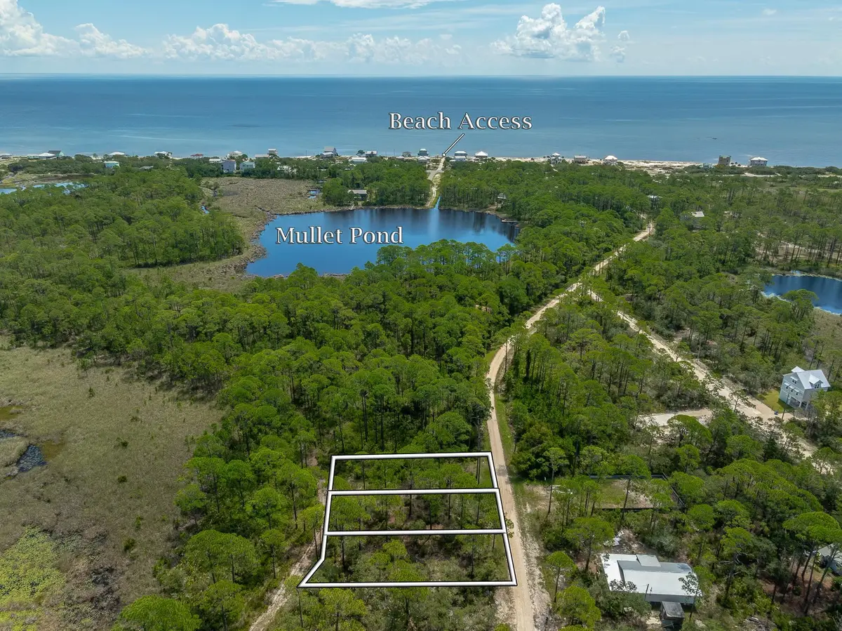 95, 99 Lake View Drive, Alligator Point, FL 32346 - #1