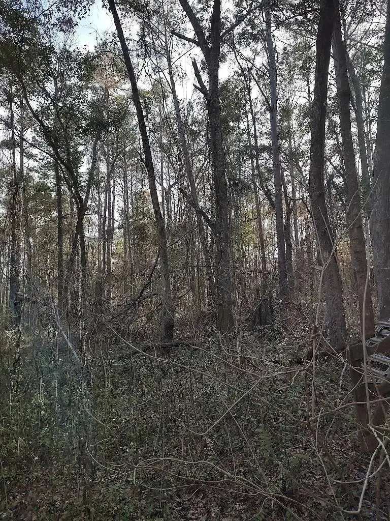0 Ajax Road, Tallahassee, FL 32311 - #1