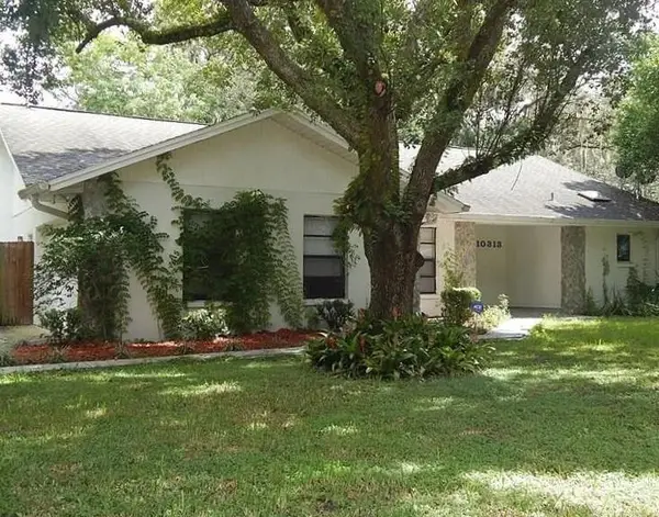 10313 N 53rd Street, Other Florida, FL 33617