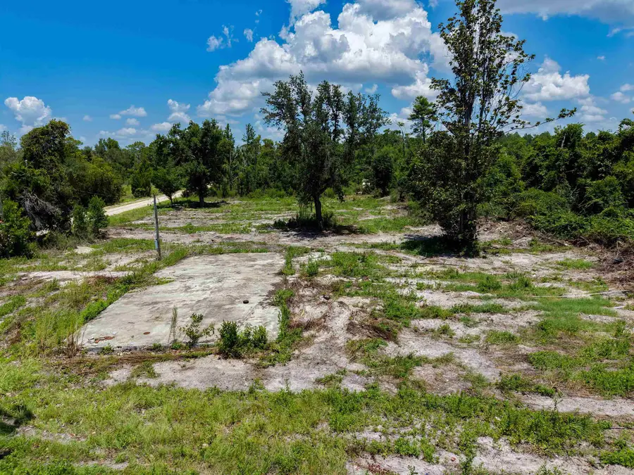 20988 Spoonbill Road, Perry, FL 32348 - #3