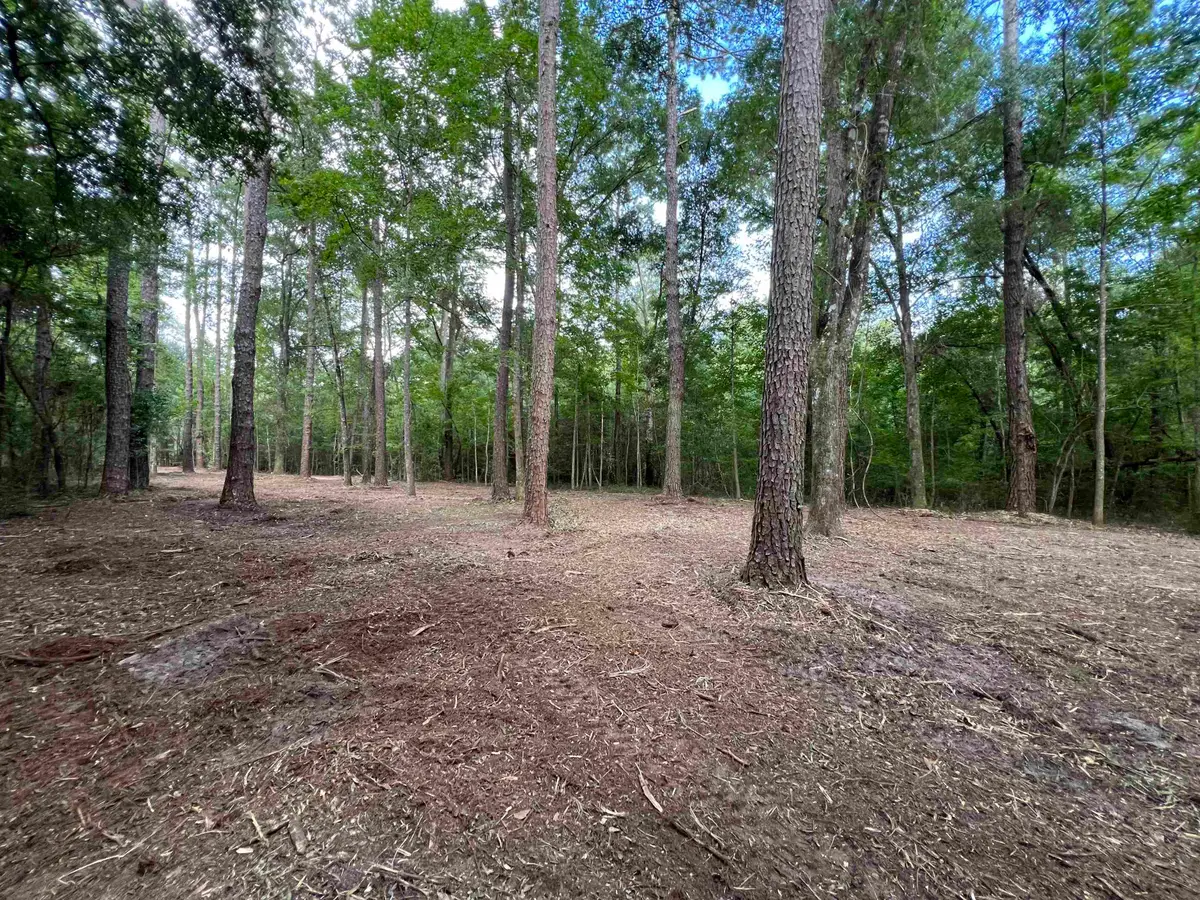 xx Chaff Chason Lane, Quincy, FL 32352 - #1