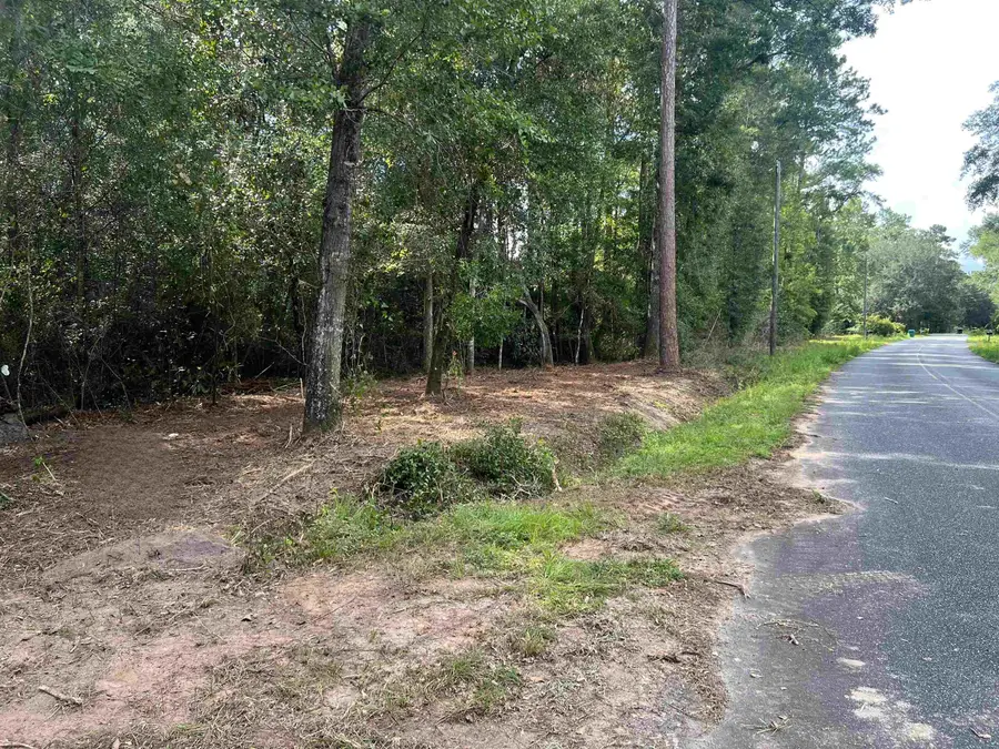 xx Chaff Chason Lane, Quincy, FL 32352 - #3
