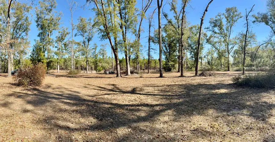 18865 89th Road, McAlpin, FL 32062 - #2