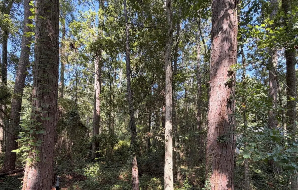 7404 Laurel Ridge Lane, Tallahassee, FL 32312 - #1